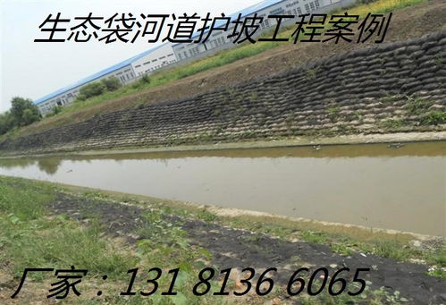 廠家直銷生態(tài)袋 構(gòu)筑綠色屏障，護(hù)航高速路護(hù)坡工程